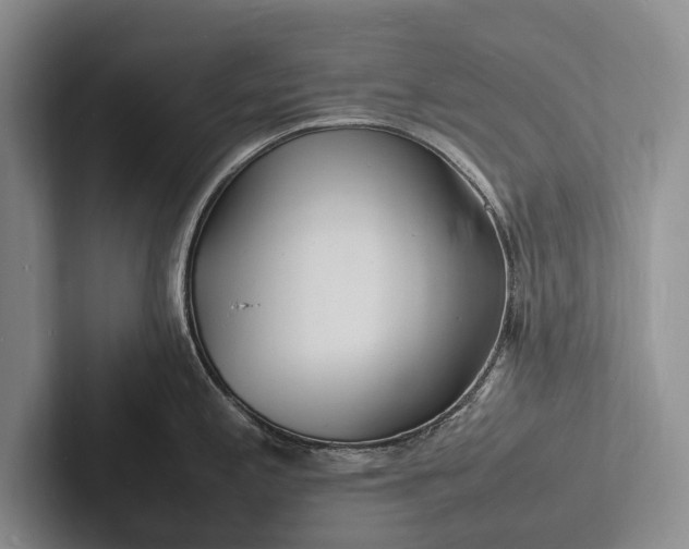 X0000103251197200809111609