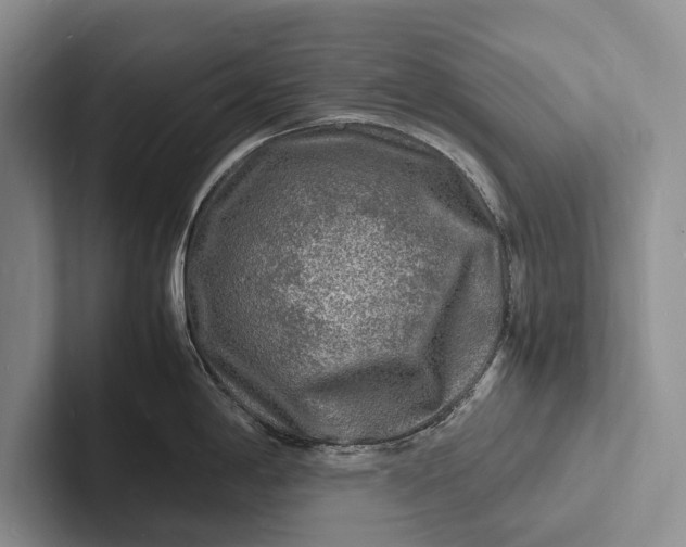 X0000103251198200809111609