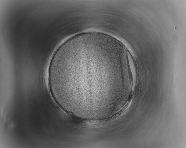 X0000103251199200809111609