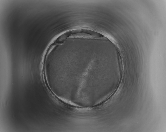 X0000103251200200809111609