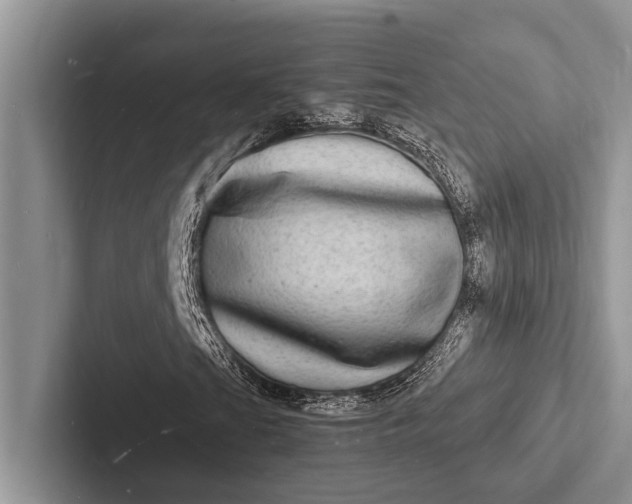 X0000103251201200809111608