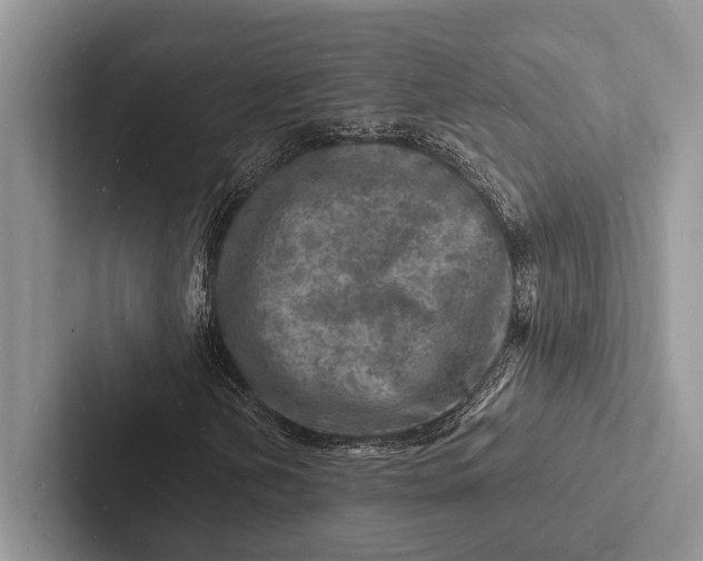X0000103251202200809111608