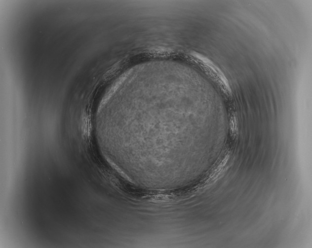X0000103251204200809111608