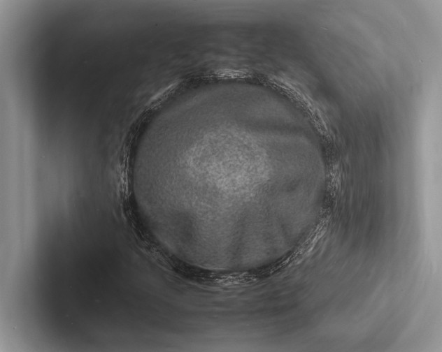 X0000103251205200809111608