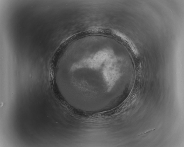 X0000103251206200809111608