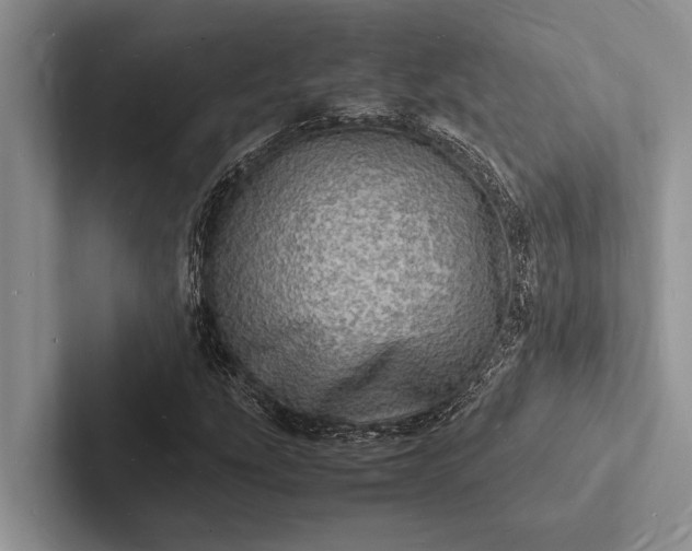 X0000103251207200809111608
