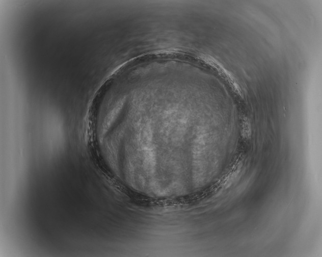 X0000103251208200809111608