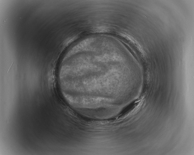 X0000103251210200809111608