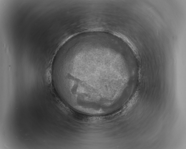 X0000103251212200809111608