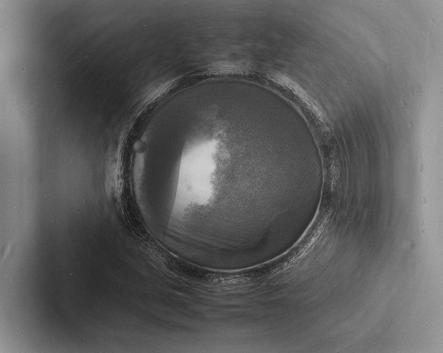 X0000103251213200809111608