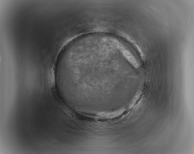 X0000103251214200809111608