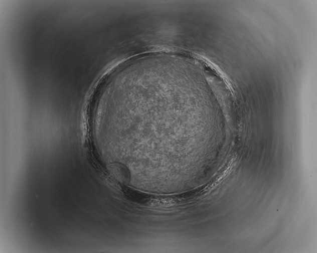 X0000103251215200809111608