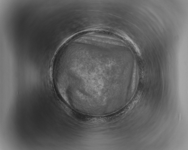 X0000103251216200809111608