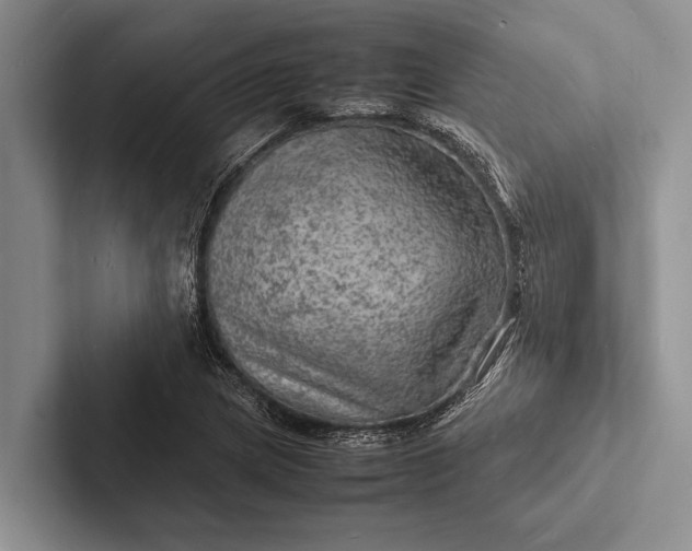 X0000103251217200809111608