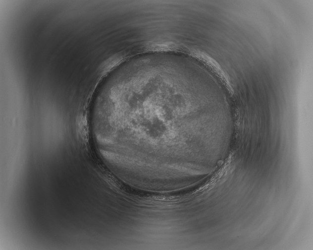 X0000103251218200809111608