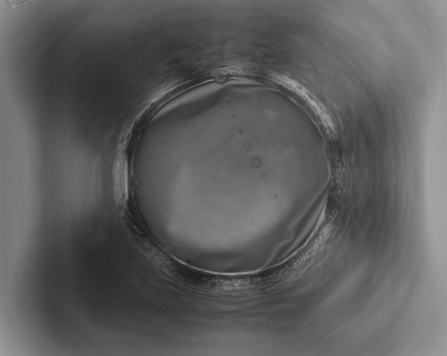 X0000103251219200809111608