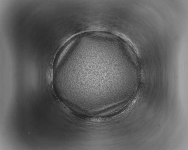 X0000103251220200809111608