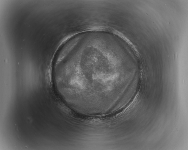 X0000103251222200809111608