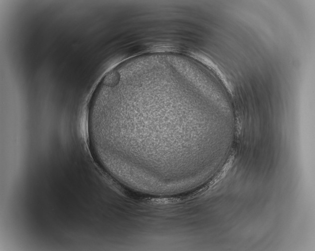 X0000103251227200809111608