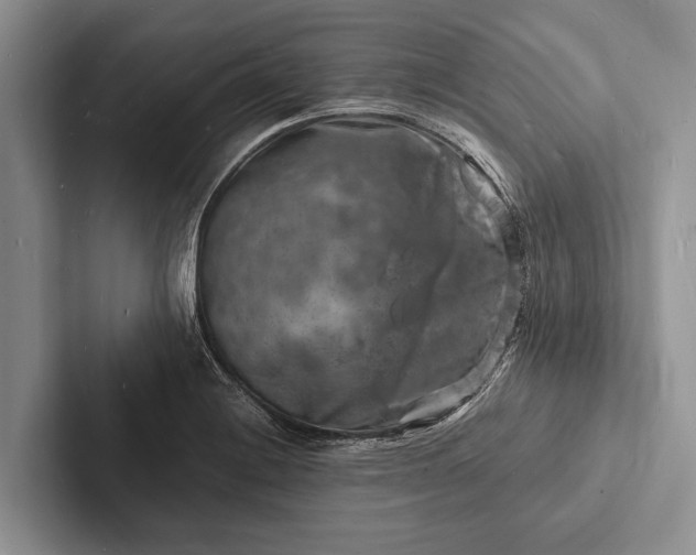 X0000103251228200809111609