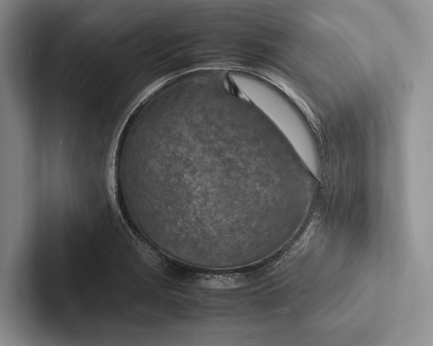 X0000103251229200809111609