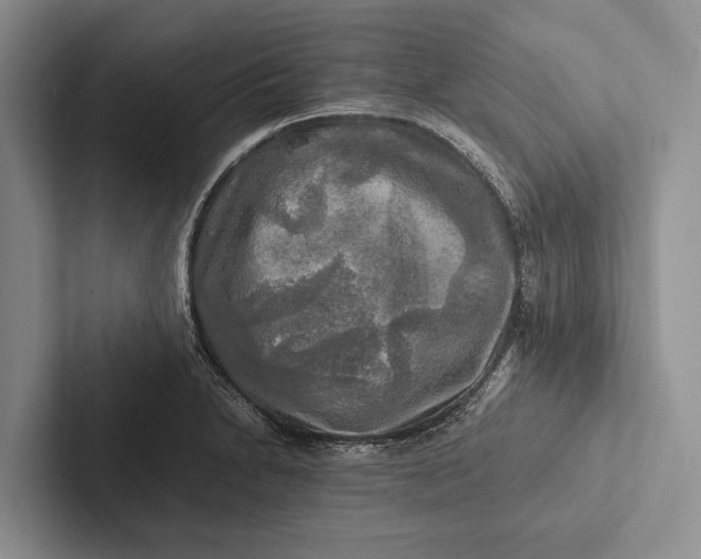 X0000103251230200809111609
