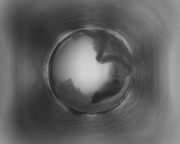 X0000103251231200809111609