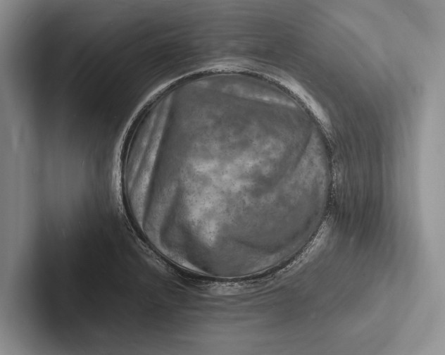 X0000103251232200809111609