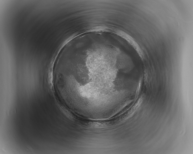 X0000103251234200809111609