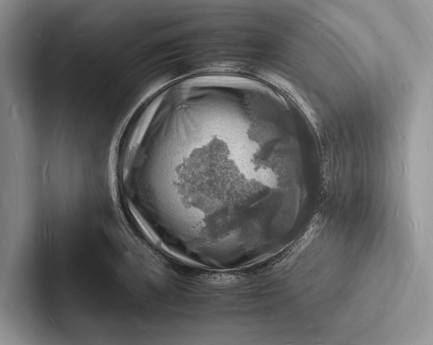 X0000103251235200809111609