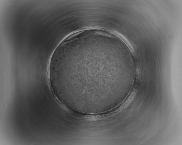 X0000103251236200809111609