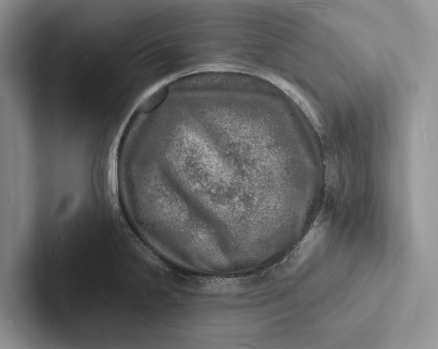 X0000103251238200809111609