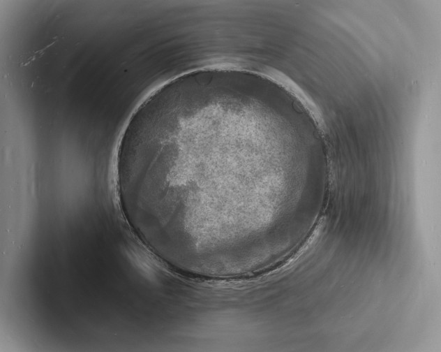 X0000103251240200809111609