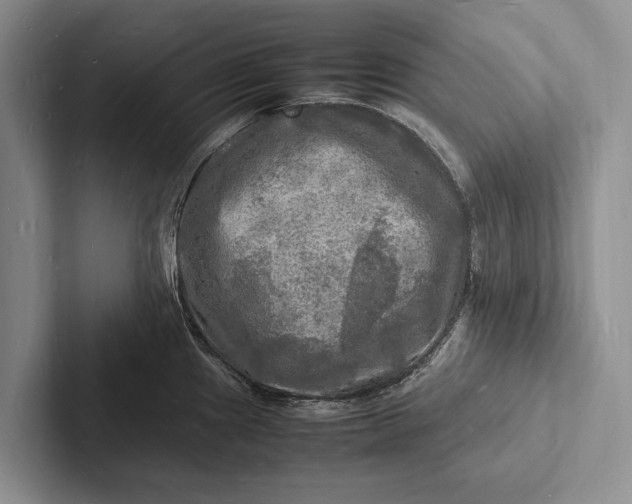 X0000103251241200809111609