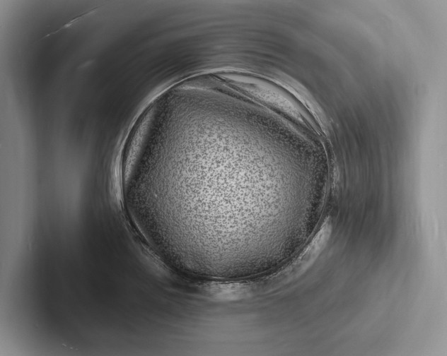 X0000103251242200809111609