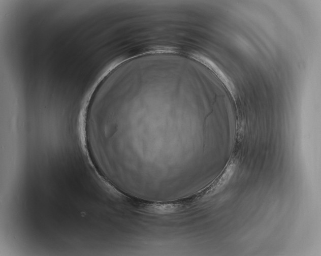 X0000103251243200809111609