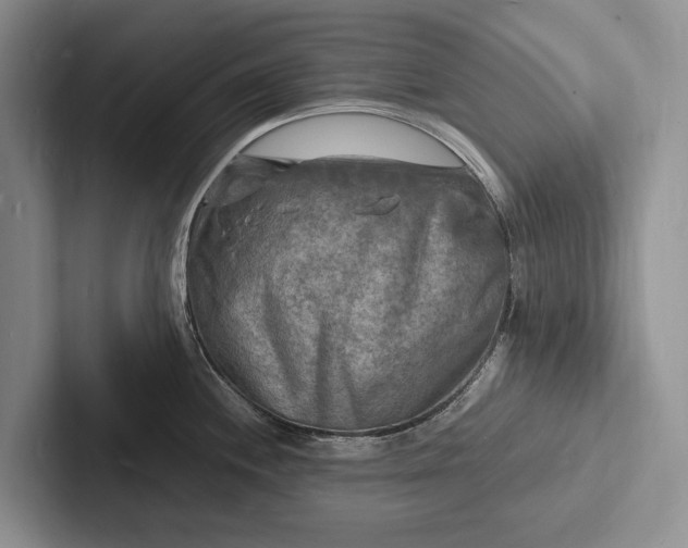 X0000103251244200809111609