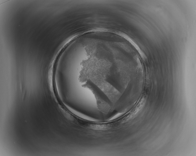 X0000103251245200809111609