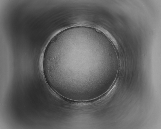 X0000103251246200809111609