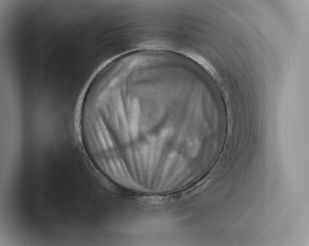 X0000103251248200809111609