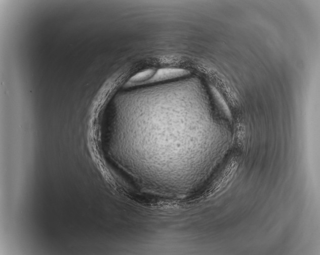 X0000103251249200809111608