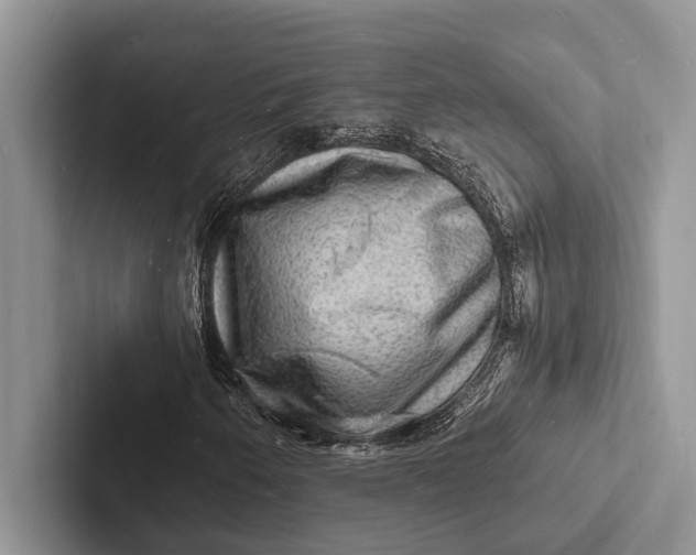 X0000103251250200809111608