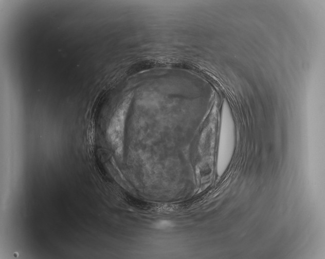 X0000103251251200809111608