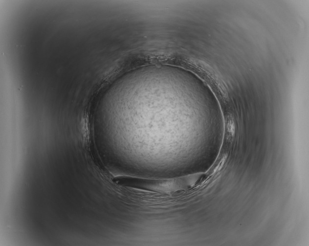 X0000103251252200809111608