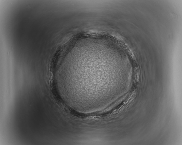 X0000103251253200809111608