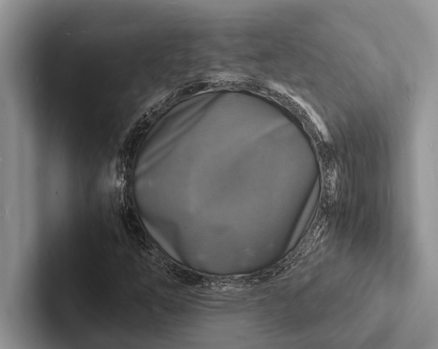 X0000103251254200809111608