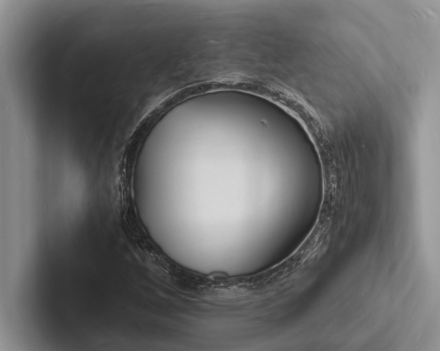 X0000103251256200809111608