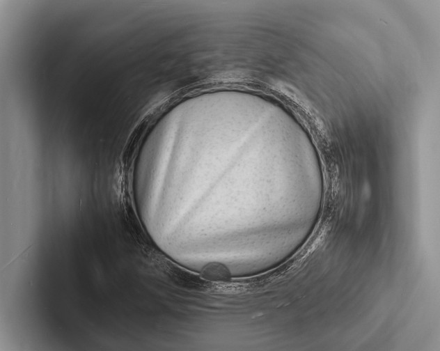 X0000103251258200809111608