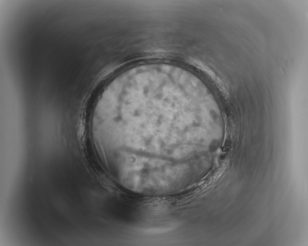 X0000103251259200809111608