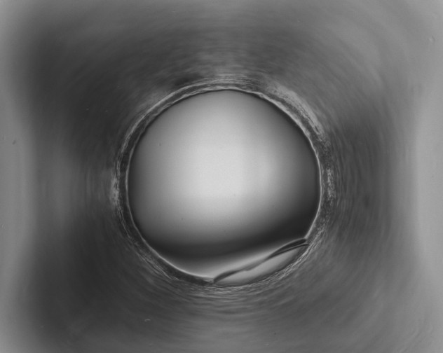 X0000103251260200809111608